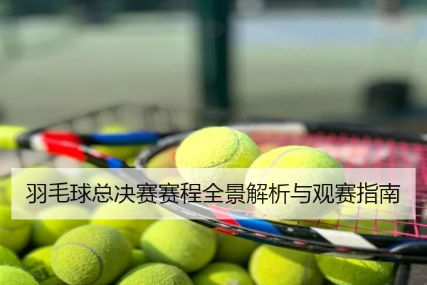 羽毛球总决赛赛程全景解析与观赛指南