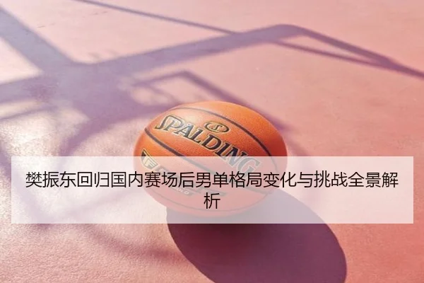 樊振东回归国内赛场后男单格局变化与挑战全景解析