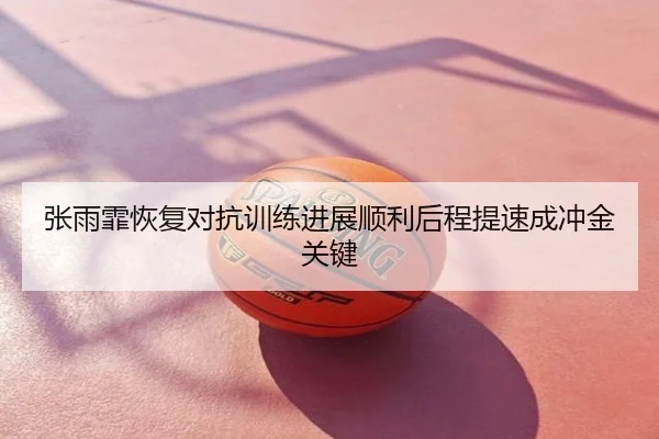 张雨霏恢复对抗训练进展顺利后程提速成冲金关键