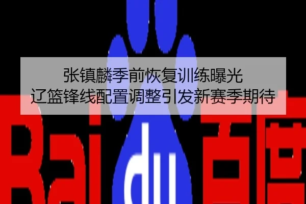 张镇麟季前恢复训练曝光 辽篮锋线配置调整引发新赛季期待