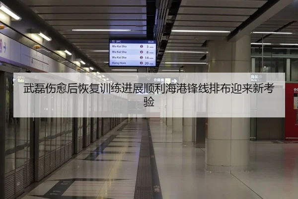 武磊伤愈后恢复训练进展顺利海港锋线排布迎来新考验